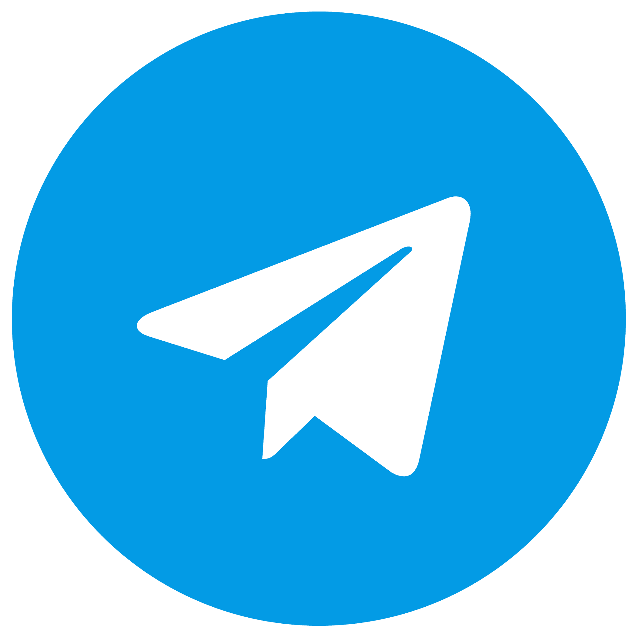 Telegram Icon
